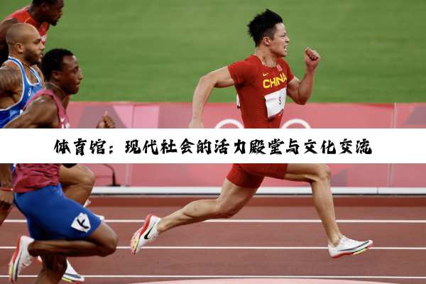 【科普解答】体育馆：现代社会的活力殿堂与文化交流平台