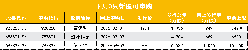 下周重磅打新：国产AI芯片龙头，来了